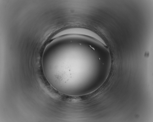 X0000111160548200906301403