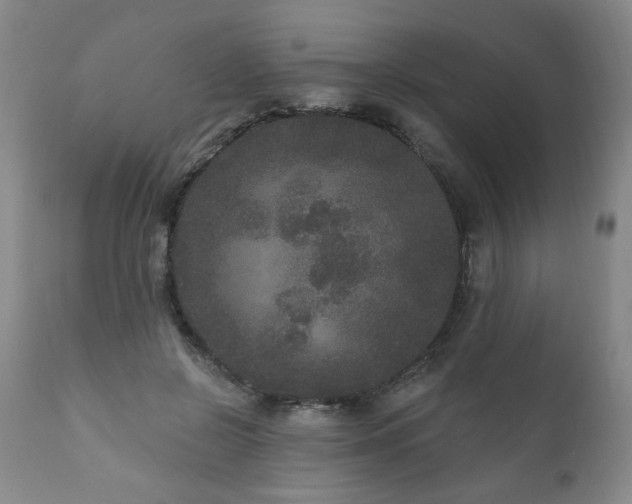 X0000111160550200906301403