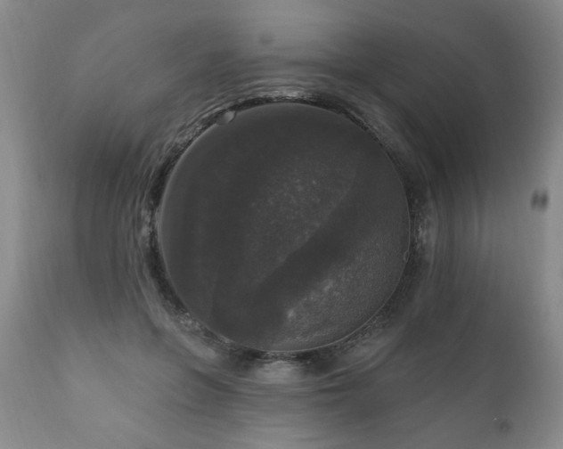 X0000111160551200906301403