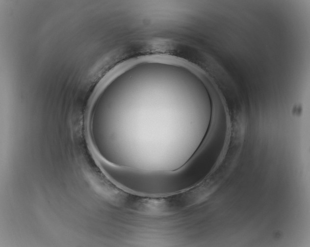X0000111160552200906301403