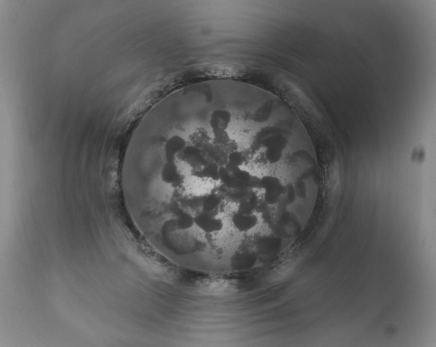 X0000111160553200906301403