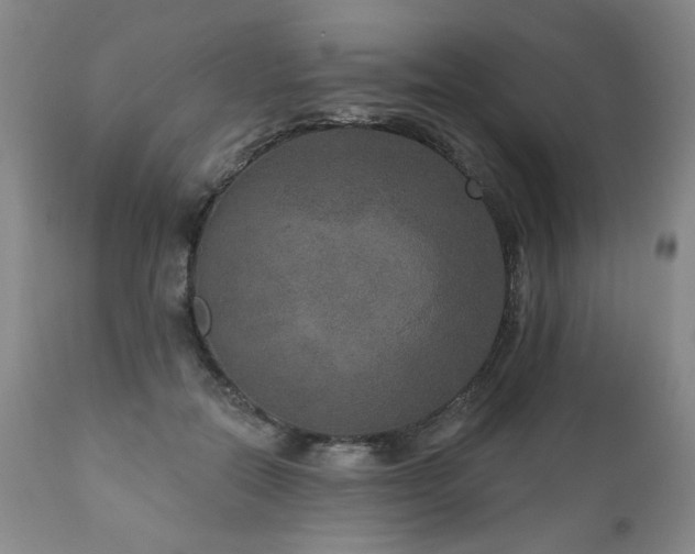 X0000111160554200906301403