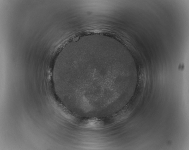 X0000111160555200906301403