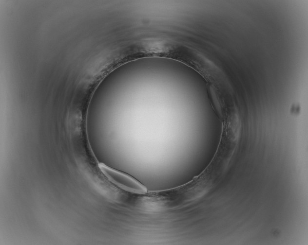 X0000111160556200906301403