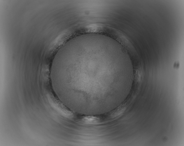 X0000111160557200906301403