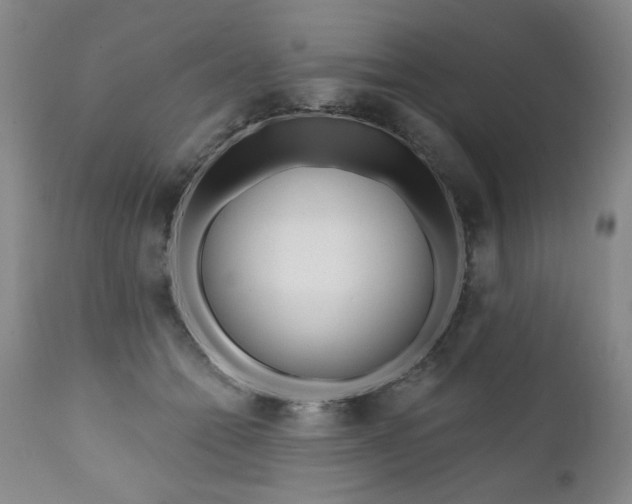 X0000111160558200906301403