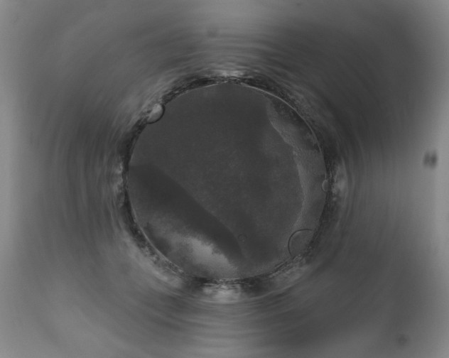 X0000111160559200906301403