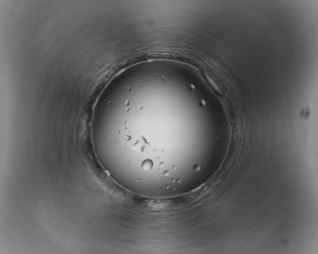 X0000111160560200906301403