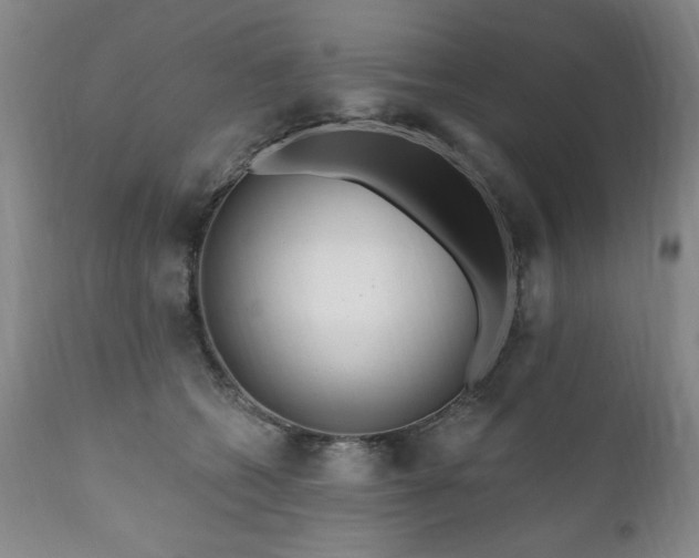 X0000111160562200906301403