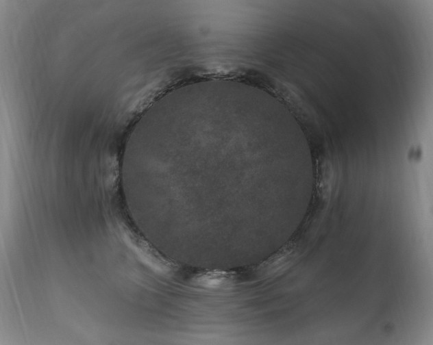 X0000111160563200906301403