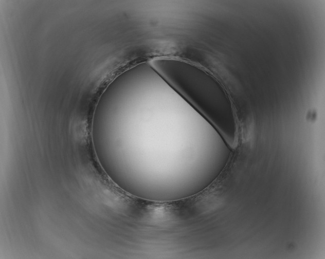 X0000111160564200906301403