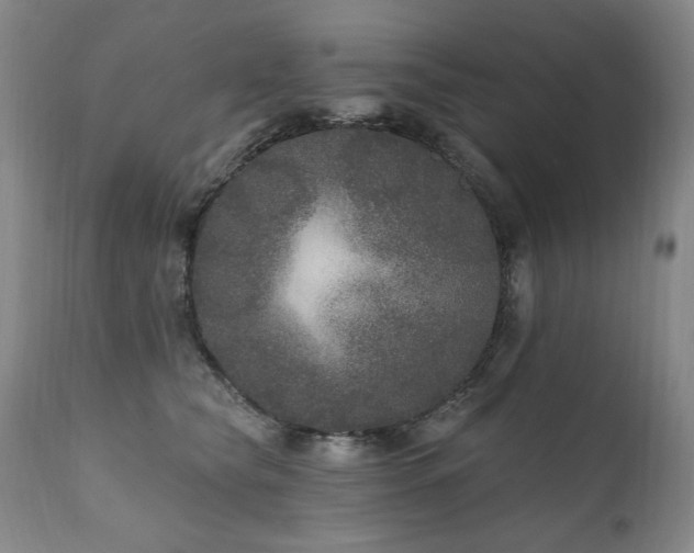 X0000111160565200906301403