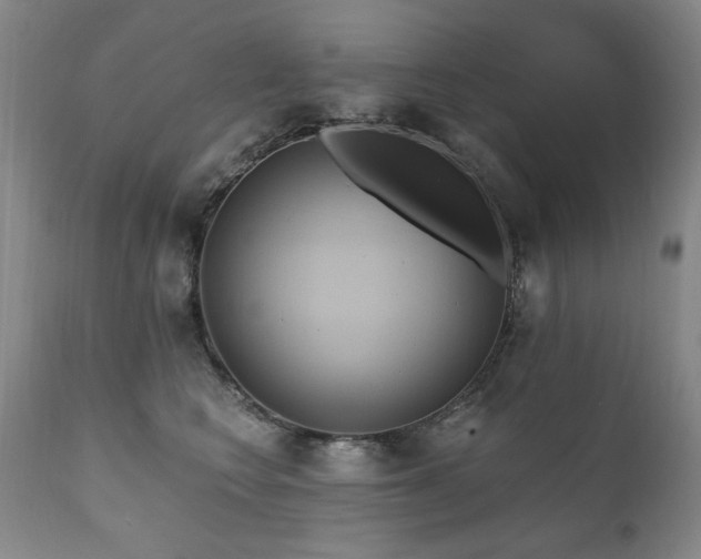 X0000111160566200906301403