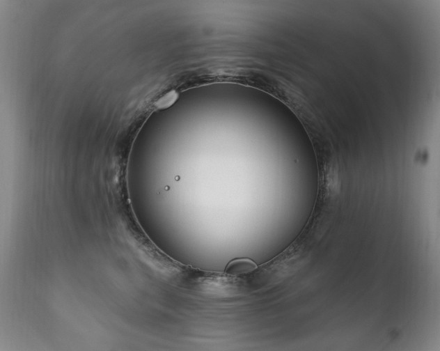 X0000111160567200906301403