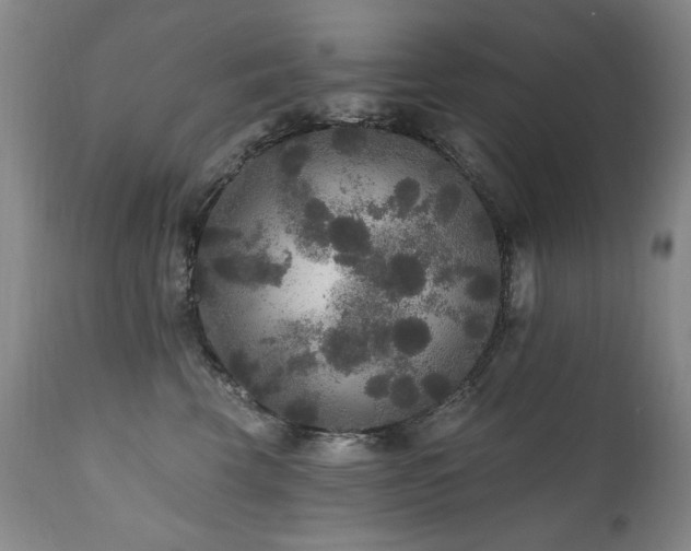 X0000111160569200906301403