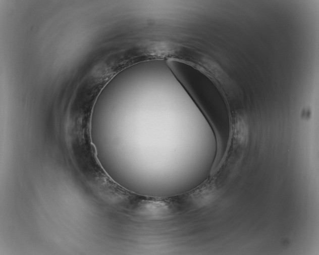 X0000111160572200906301403