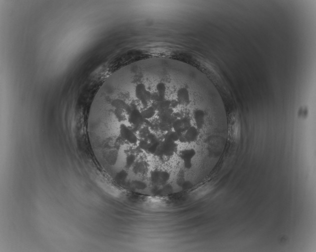 X0000111160573200906301403