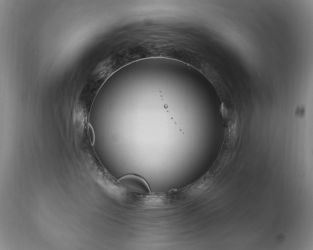 X0000111160574200906301403