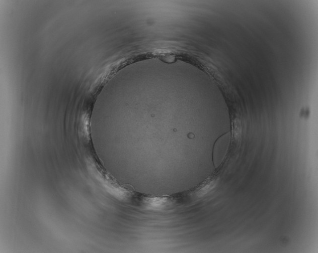 X0000111160575200906301403