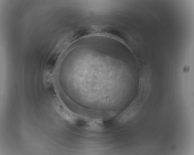 X0000111160576200906301403