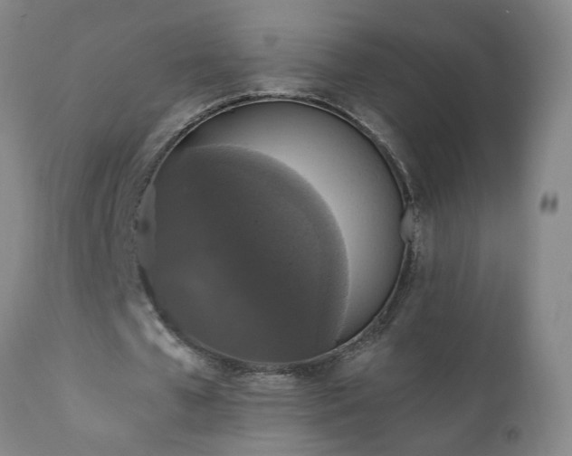 X0000111160577200906301403