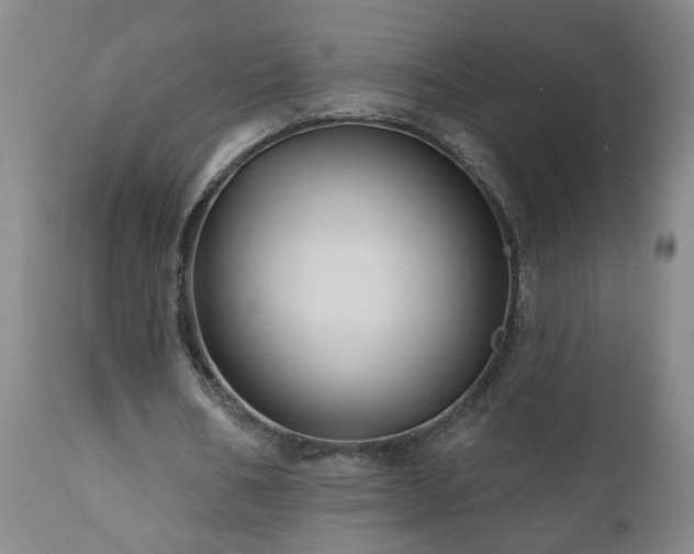 X0000111160578200906301403
