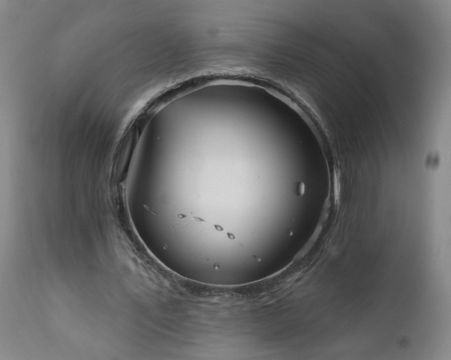 X0000111160579200906301403