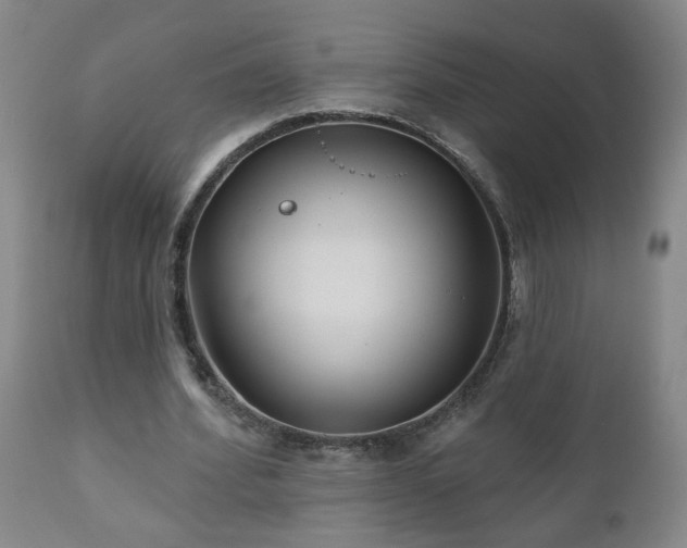 X0000111160580200906301403