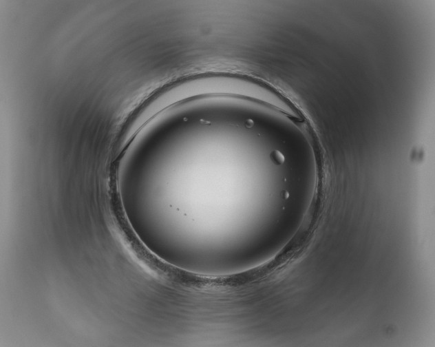 X0000111160581200906301403