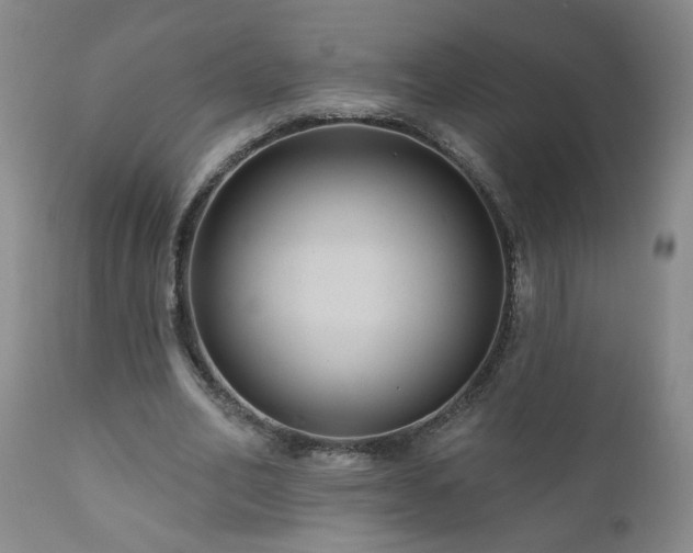 X0000111160582200906301403