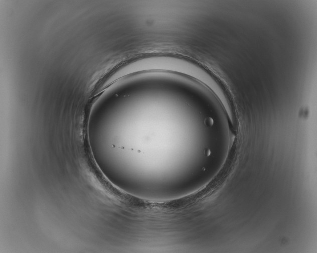 X0000111160585200906301402