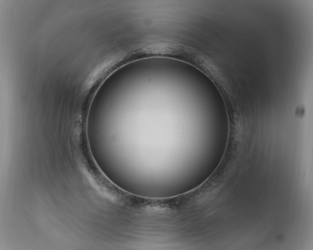X0000111160586200906301402