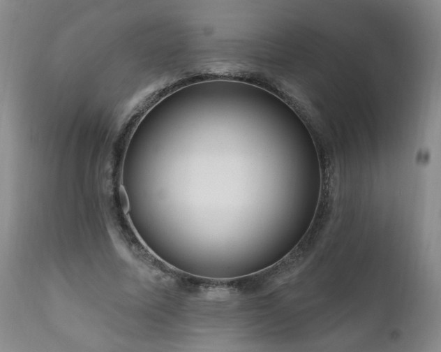 X0000111160587200906301402