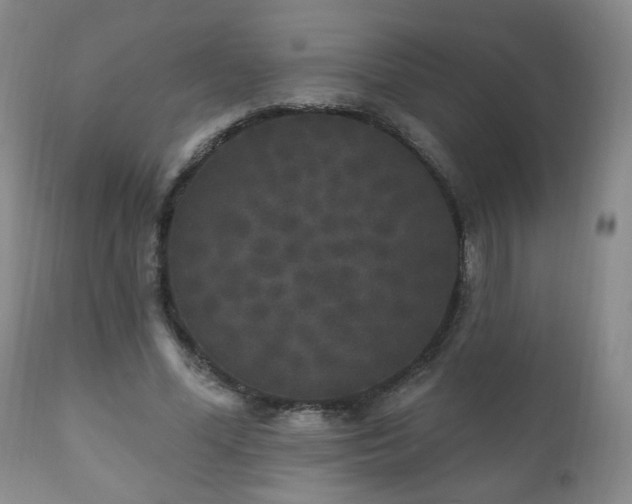 X0000111160588200906301402