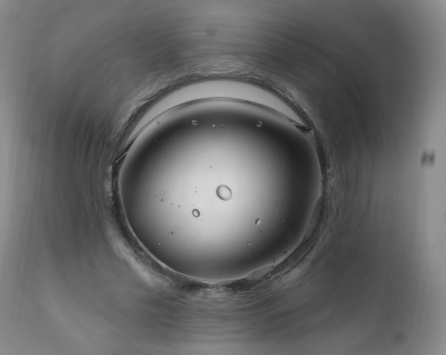 X0000111160589200906301402