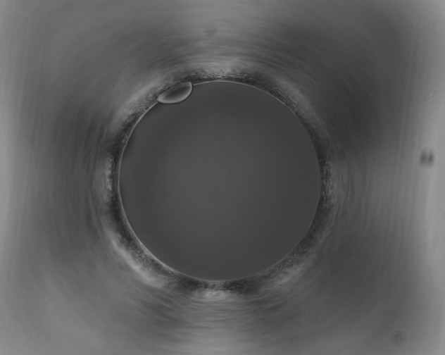 X0000111160590200906301402