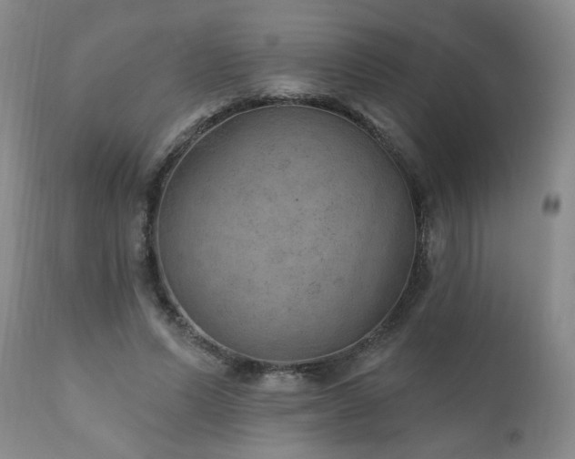 X0000111160591200906301402
