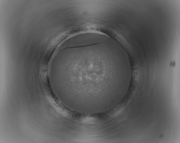 X0000111160593200906301402