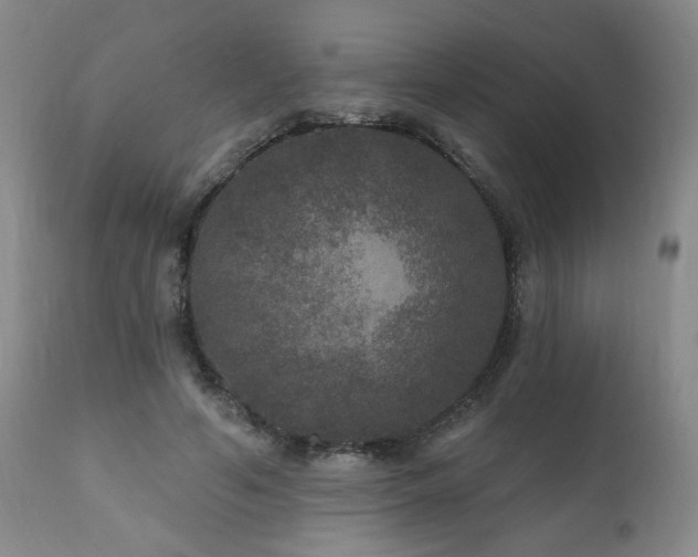 X0000111160594200906301402