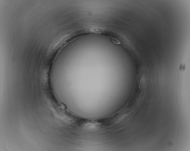 X0000111160595200906301402