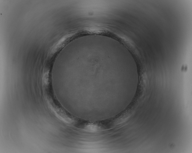 X0000111160596200906301402