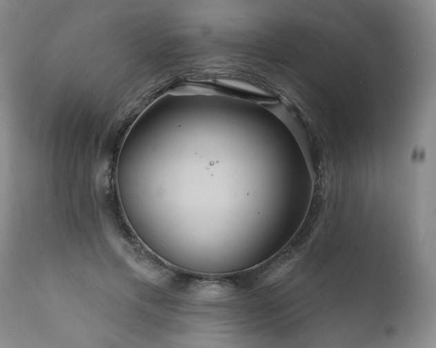 X0000111160597200906301402