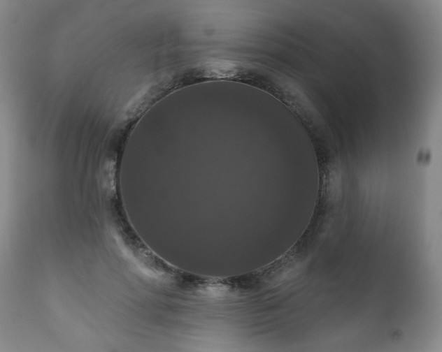 X0000111160598200906301402