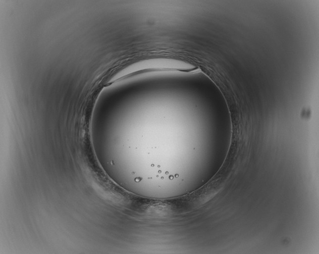 X0000111160599200906301402