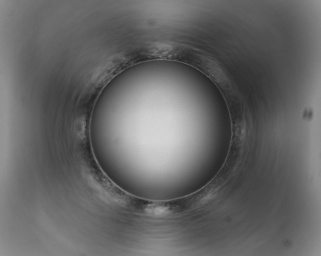 X0000111160602200906301402