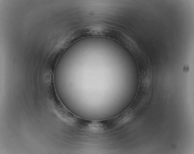 X0000111160603200906301402