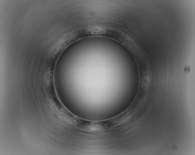 X0000111160604200906301402