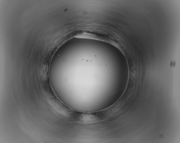 X0000111160605200906301402