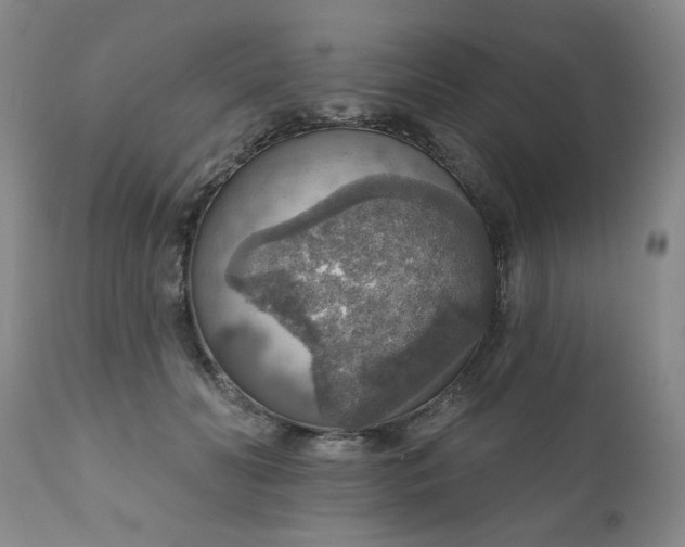 X0000111160606200906301402