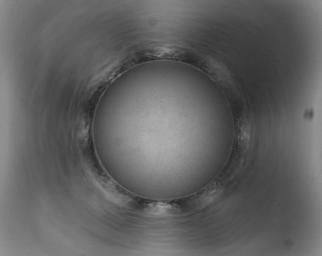 X0000111160607200906301402